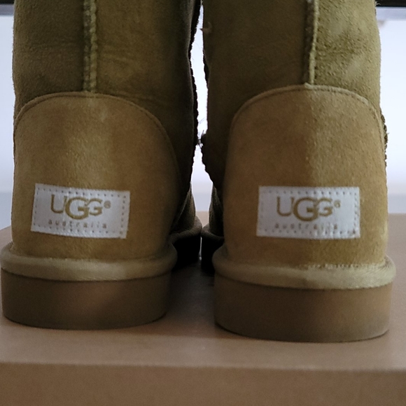 Classic Tall Ugg Sage Color- Authentic - Picture 5 of 7